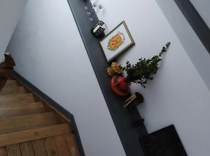 Un à Louer Ds Un Endroit Calme Près De La De Dinant